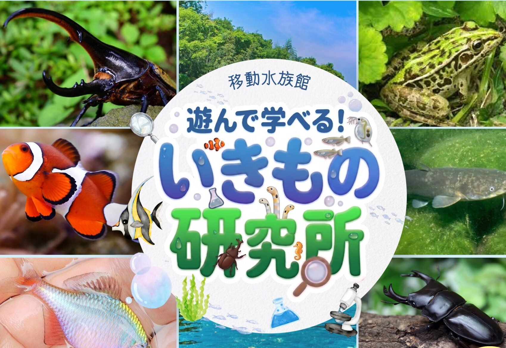 ワクリエ新居浜移動水族館「あそんで学べる！いきもの研究所」